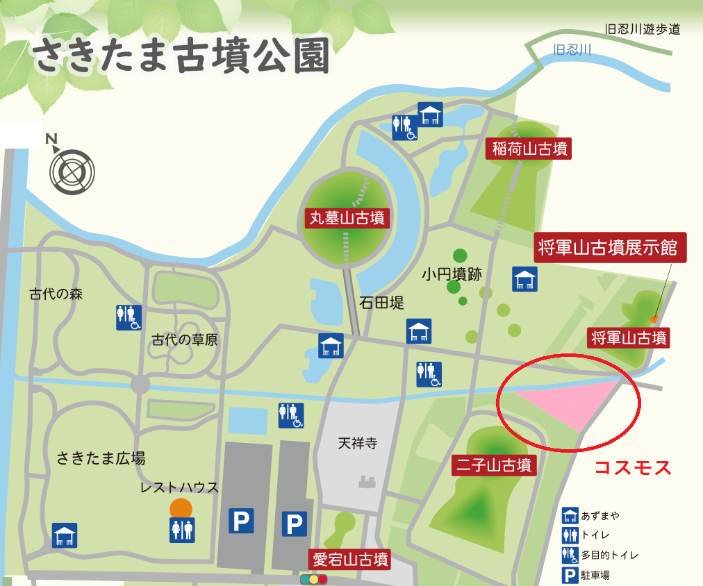 古墳公園北側の地図にコスモス畑の位置を示す。