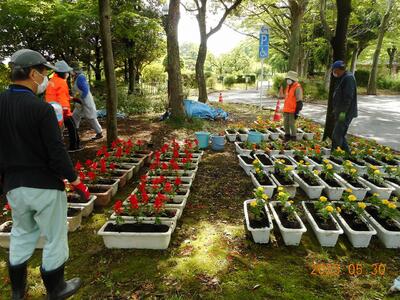 博物館入口前プランター植え替えの様子