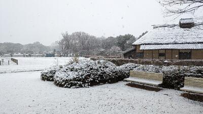 雪が降る中の移築民家周辺の写真（5日14時ごろ）。